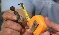 世界上最小的木乃伊图片