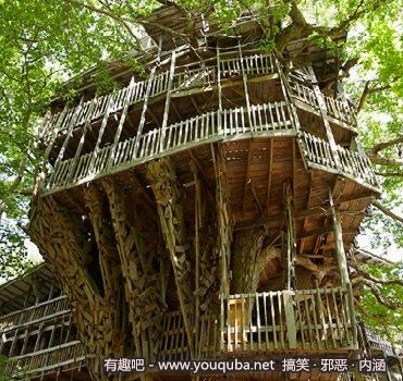 世界上最大的树屋，好有特色
