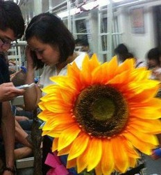 你见过有人七夕节送向日葵的吗？