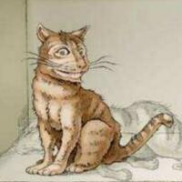 薛定谔的猫，量子力学在宏观条件下的不完备性！(2)