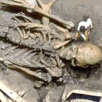印度发现的巨人骸骨，你会相信这是真实的吗？