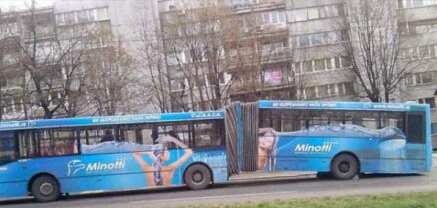 塞尔维亚乘公交，欧洲小国欢乐多 (6).jpg