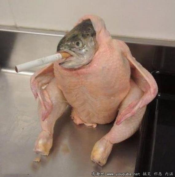 香烟鸡肉鱼