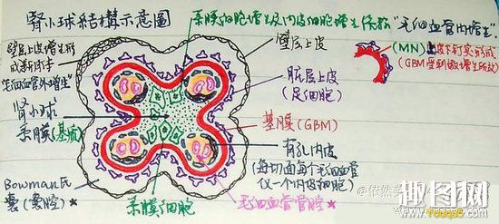 某医学系同学神一般的笔记 你能看懂多少12