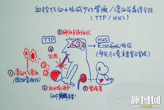 某医学系同学神一般的笔记 你能看懂多少16