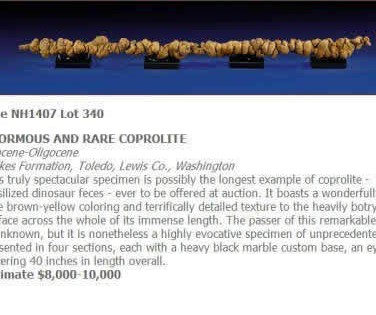 世界最长恐龙粪便1万美元拍卖,真的好长!
