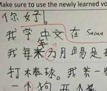 终于找到平衡了，老外的汉语作文！！！