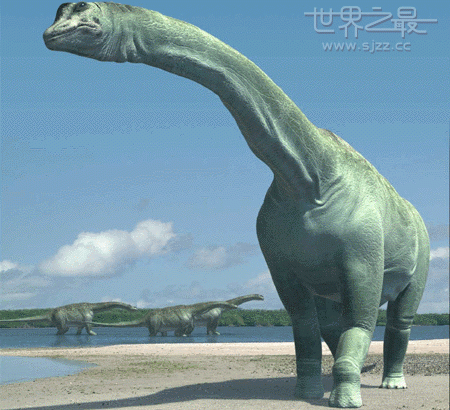世界上最高的恐龙