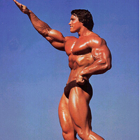 世界上肌肉最发达的人---阿诺德·施瓦辛格(10)