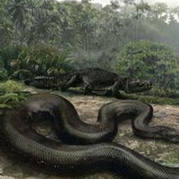四川发现世界上最长的蟒蛇，竟然有55米！(5)