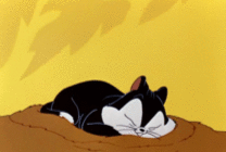 卡通猫睡觉动态图
