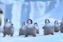 小企鹅集体跳舞搞笑图片
