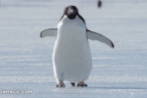 企鹅冰上冲刺动态图