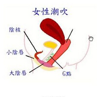 女人g点在哪？如何引发G点高潮？(3)