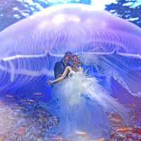 水下婚纱照图片，太唯美了！(9)