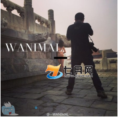 wanimal模特