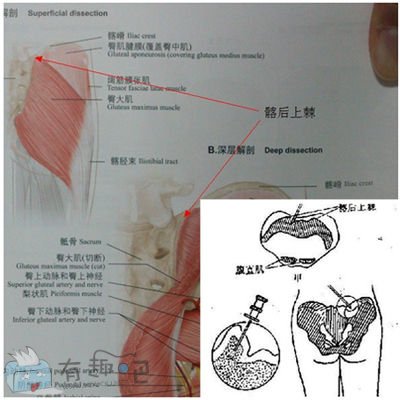 腰窝，真的有那么神奇吗？