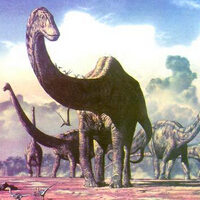 最大的恐龙是什么龙？最大的恐龙有多大？