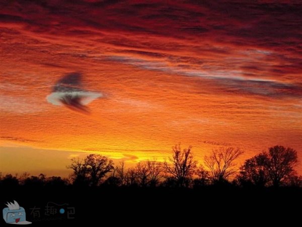 十大最怪异天气：百年一见的“空中降鱼”