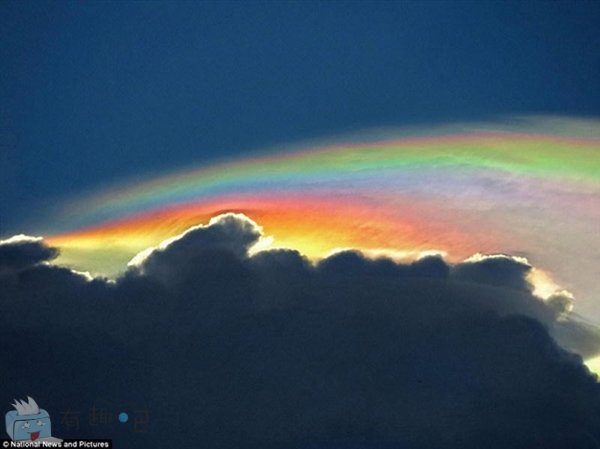 十大最怪异天气：百年一见的“空中降鱼”