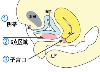 g点在哪