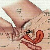 g点位置 女人g点在哪 g点高潮(3)