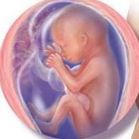子宫内胎儿自打脸，或将是未来的拳王？