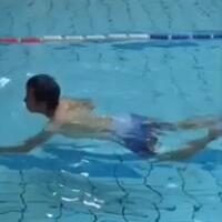 邓超晒狗刨式助威，庆祝奥运游泳队赢得奖牌