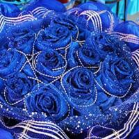 蓝色妖姬的花语是什么，爱和善良！