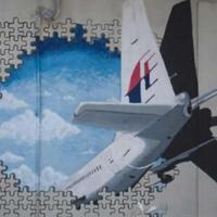 MH370惊人失踪论，有可能有预谋！