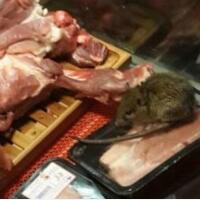 老鼠在冷柜吃肉，这样的肉你还敢买吗