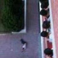 浙江高中学生坠亡，原因正在调查！