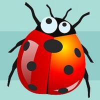bug是什么意思？bug词语由来