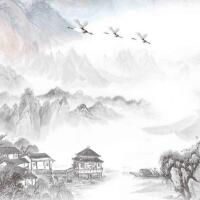 江山如画，垂柳是西湖颀长的秀发！(3)