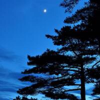 明月松间照，山中秋季的黄昏美景！
