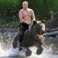 普京回应骑熊照，称从没骑过熊