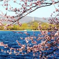 春来江水绿如蓝，最美丽的是那碧绿的江水！(3)