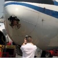 赴港客机遭鸟击，机头砸出1米直径的血洞