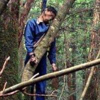 日本自杀森林，为何会如此邪门？