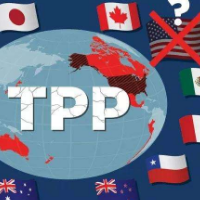 美国退出tpp，美国贸易政策进入新的时期
